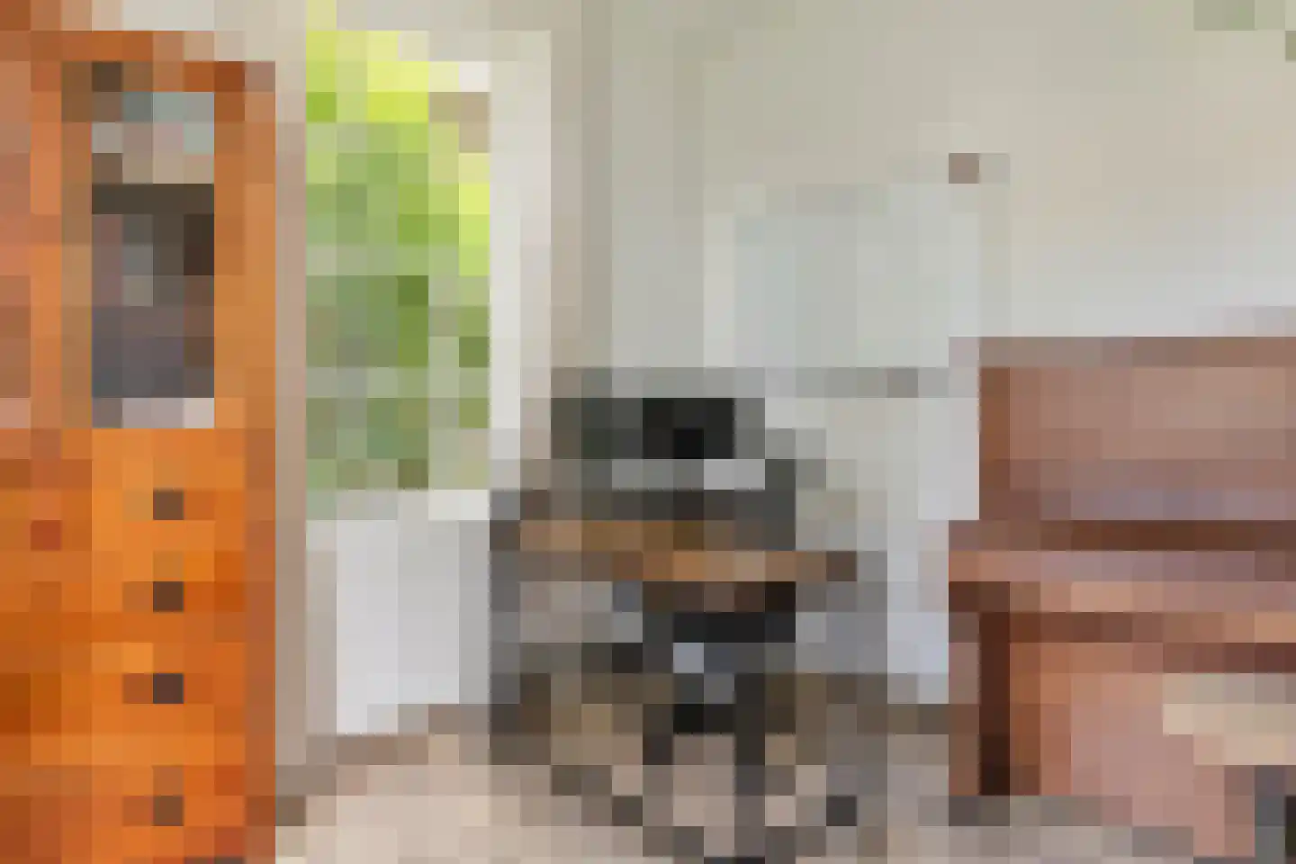 Medelsestraat 10 Tiel thumbnail 39