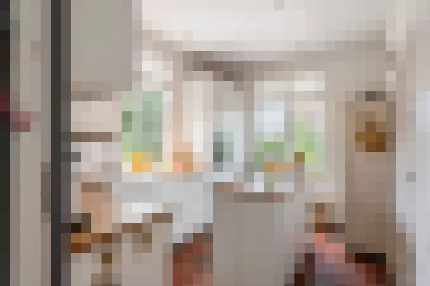Medelsestraat 10 Tiel thumbnail 5