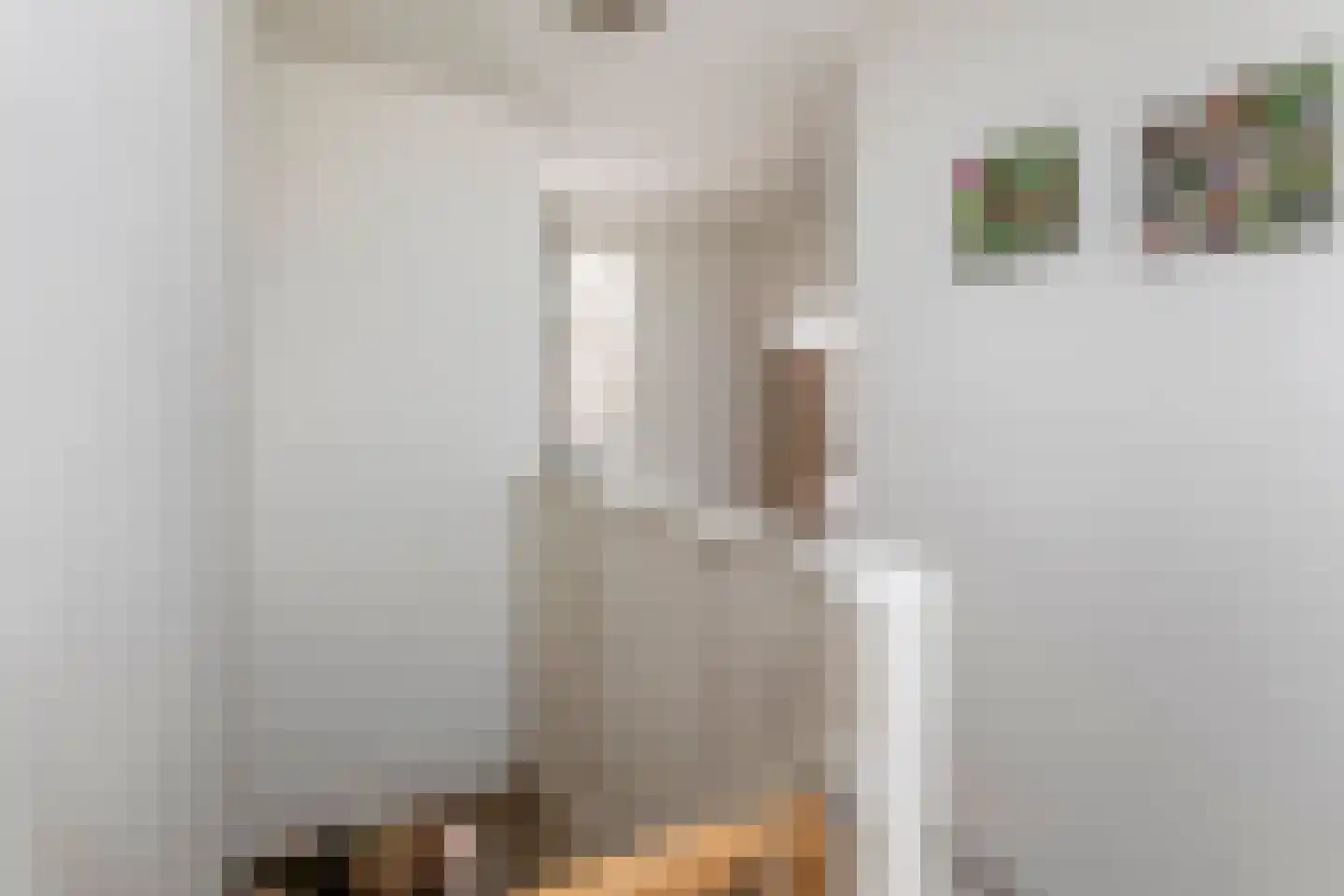 Medelsestraat 10 Tiel thumbnail 62