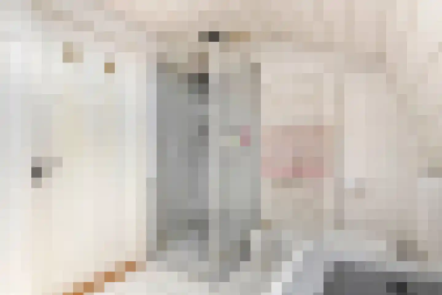 Medelsestraat 10 Tiel thumbnail 67