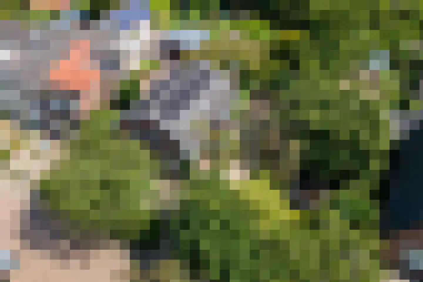 Medelsestraat 10 Tiel thumbnail 9