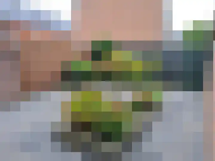 Medelsestraat 90 Tiel thumbnail 10