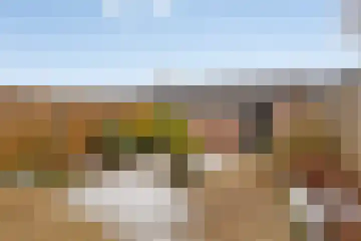 Medemblikker Span 18 Bunschoten-Spakenburg thumbnail 38