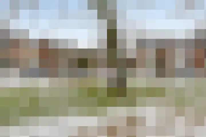 Medemblikker Span 18 Bunschoten-Spakenburg thumbnail 42