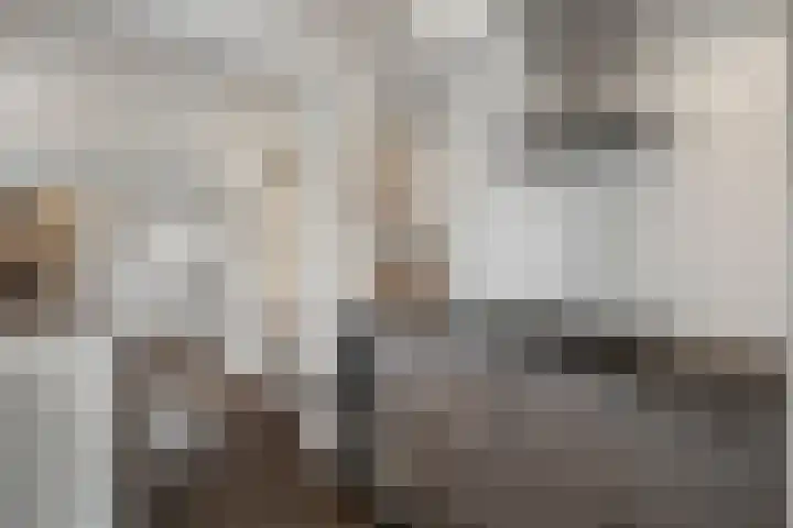 Medemblikkerweg 3 Wieringerwerf thumbnail 11