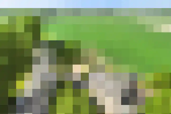 Medemblikkerweg 3 Wieringerwerf thumbnail 23