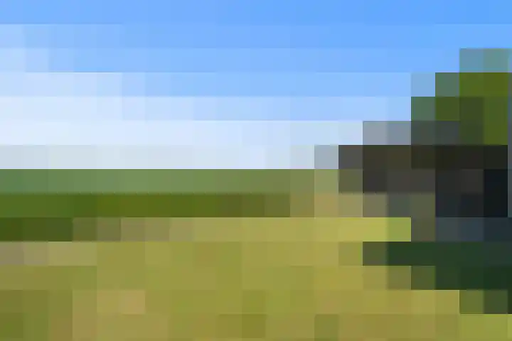 Medemblikkerweg 3 Wieringerwerf thumbnail 27