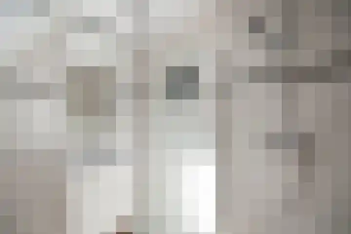 Medemblikkerweg 3 Wieringerwerf thumbnail 33