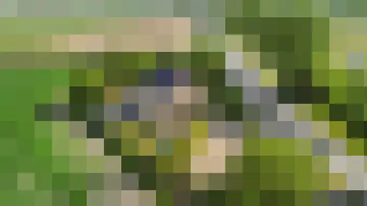 Medemblikkerweg 3 Wieringerwerf thumbnail 43