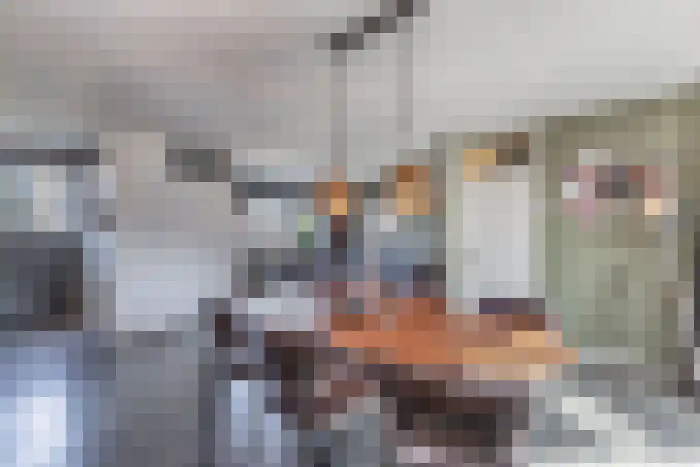 Medemblikpad 28 Emmeloord thumbnail 16