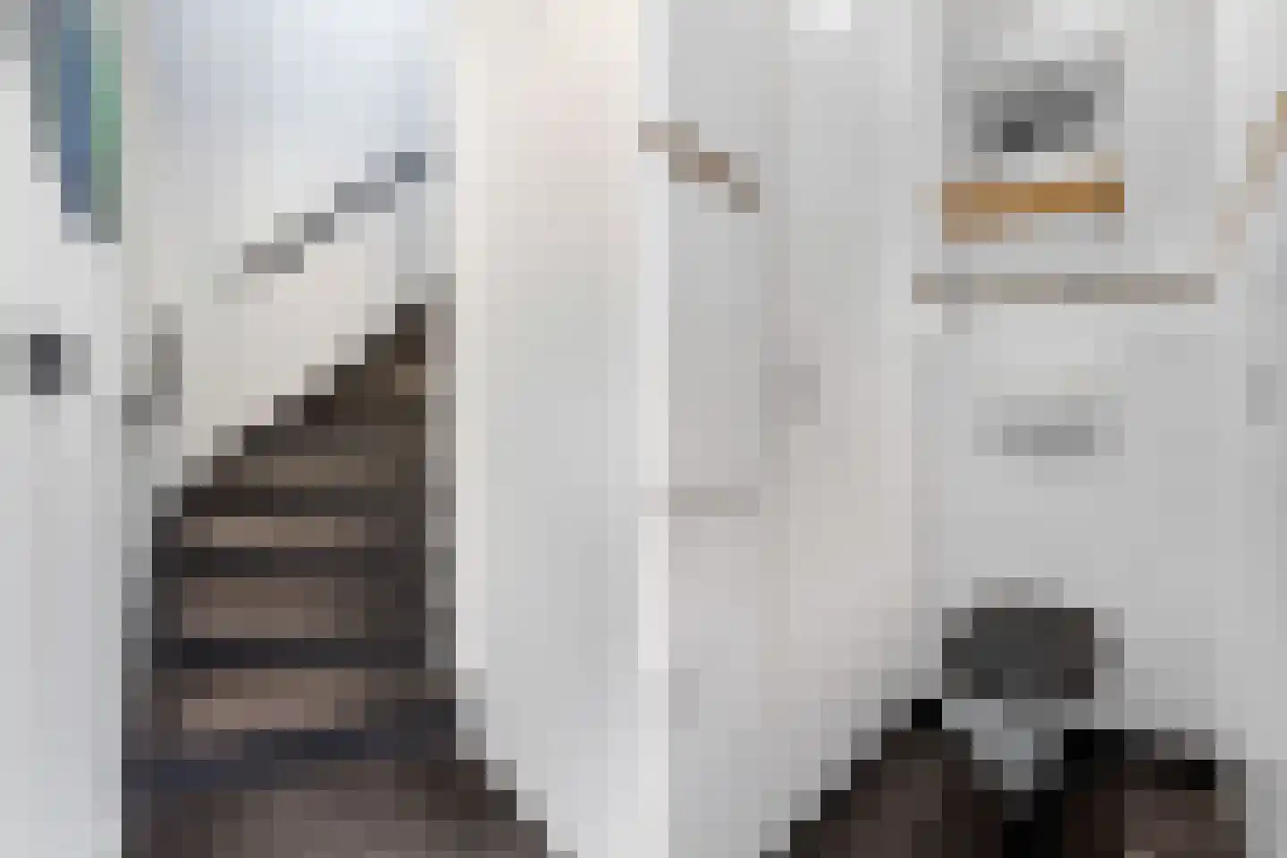 Medemblikpad 28 Emmeloord thumbnail 20