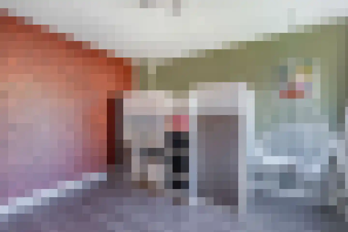 Medemblikpad 28 Emmeloord thumbnail 25