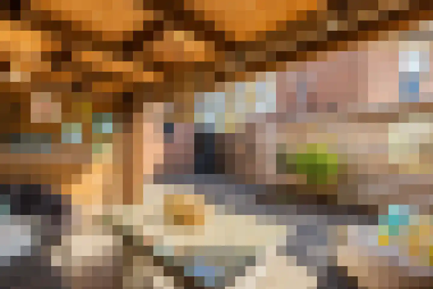 Medemblikpad 28 Emmeloord thumbnail 40