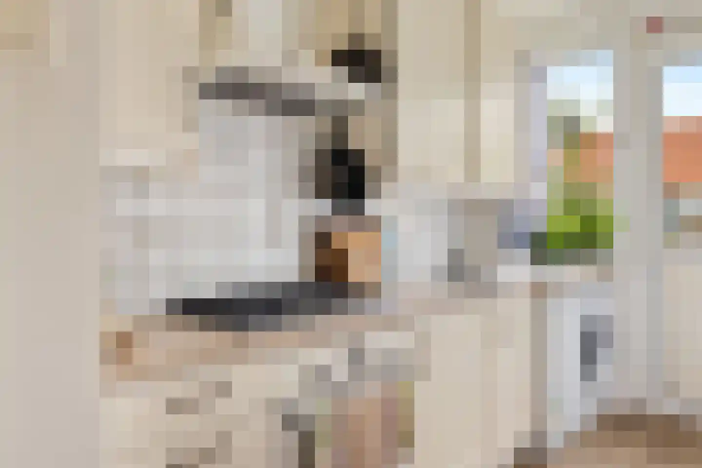 Medemblikstraat 30 1 Amsterdam thumbnail 32