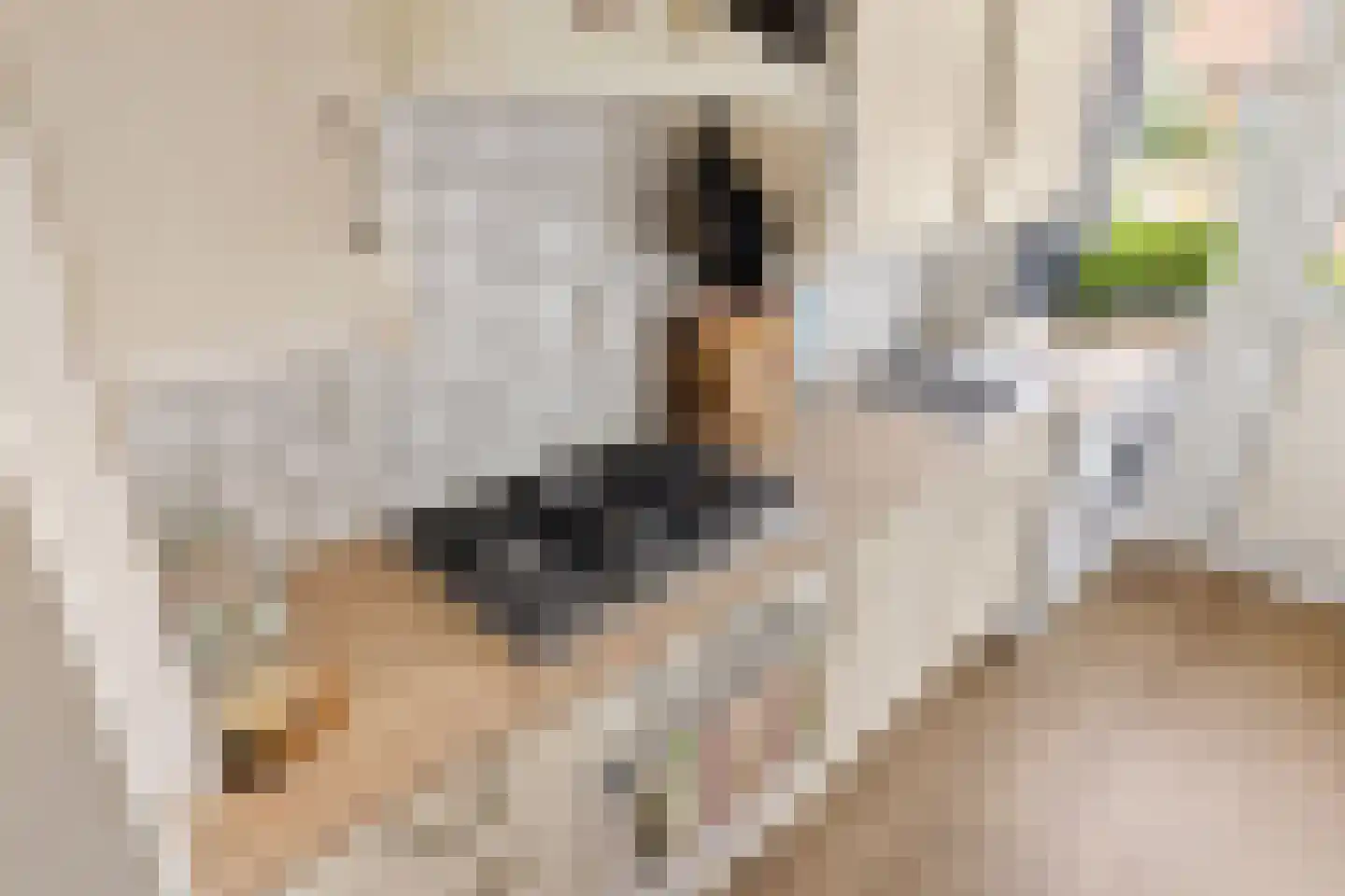 Medemblikstraat 30 1 Amsterdam thumbnail 33