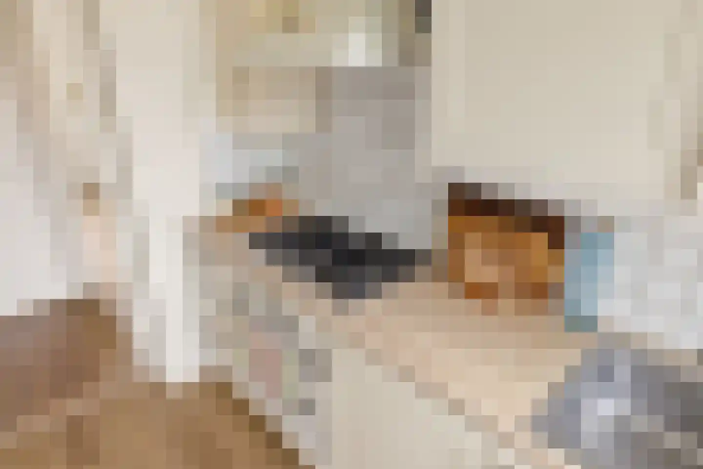 Medemblikstraat 30 1 Amsterdam thumbnail 35