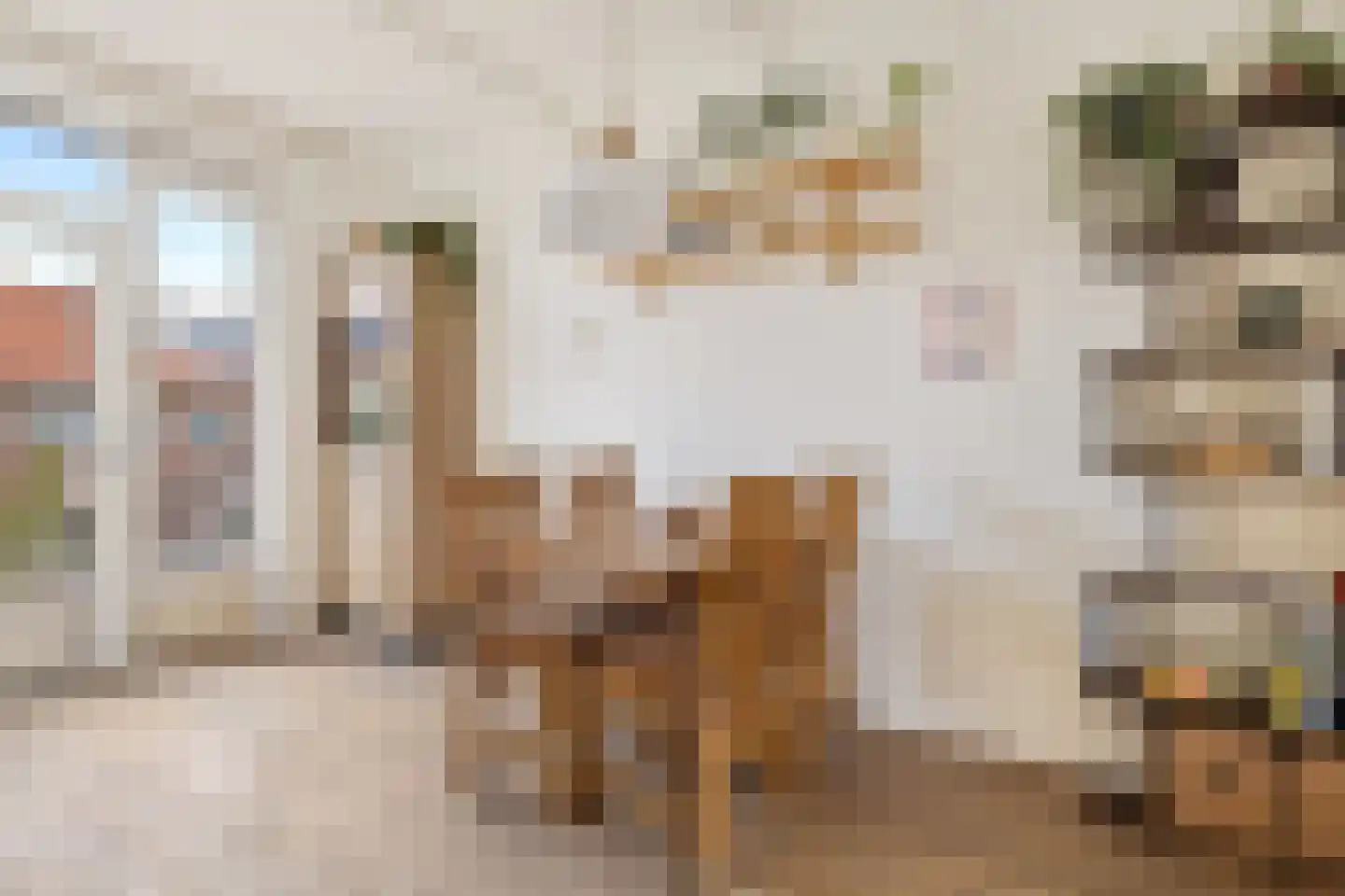 Medemblikstraat 30 1 Amsterdam thumbnail 4