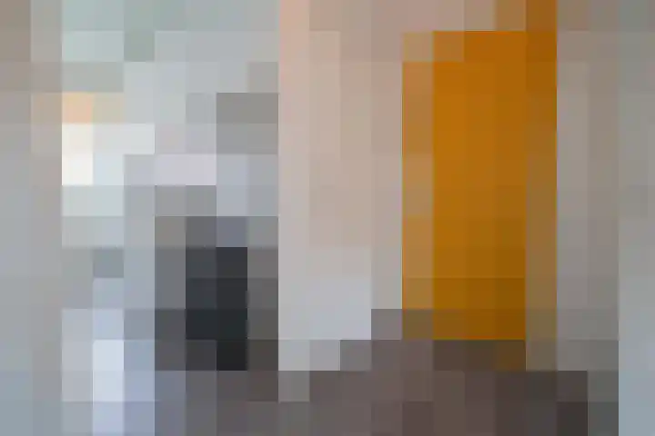 Medemblikstraat 34 1 Amsterdam thumbnail 8