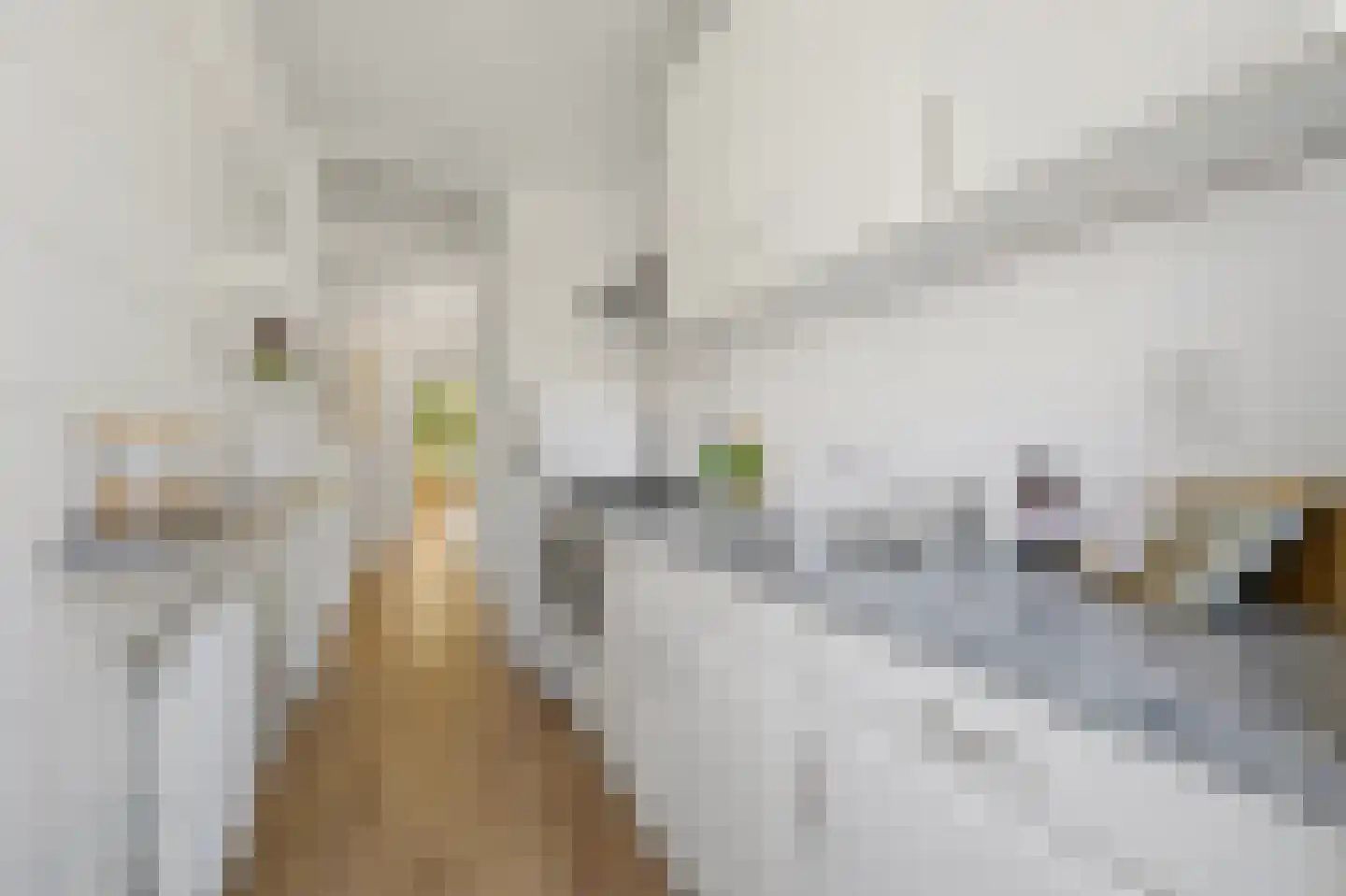 Medemblikstraat 48 Den Haag thumbnail 17