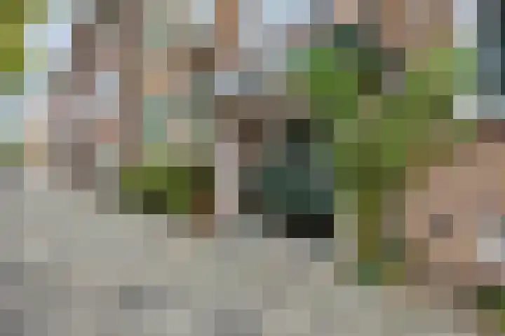 Medemblikstraat 70 Den Haag thumbnail 5