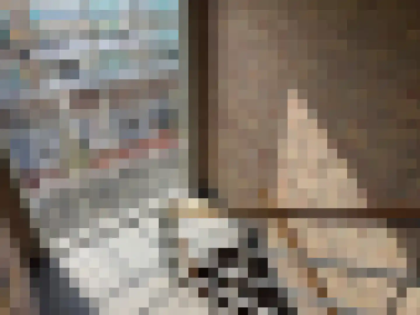 Medemblikstraat 96 Den Haag thumbnail 21