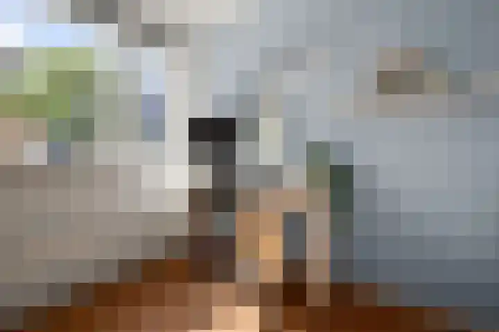 Mediterraan 18 Assendelft thumbnail 23