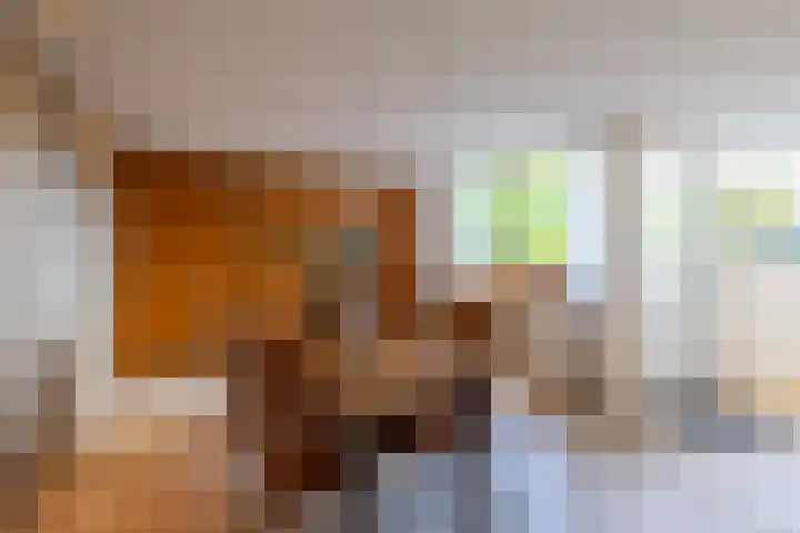 Medler 10 Doetinchem thumbnail 14