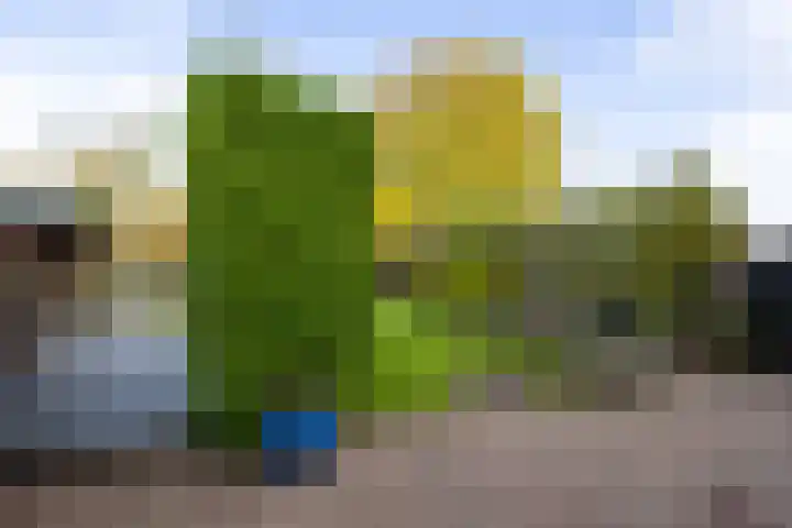 Medler 10 Doetinchem thumbnail 18