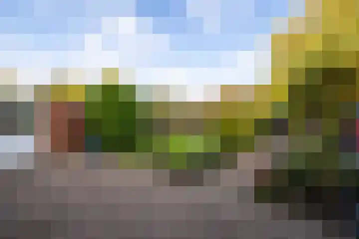 Medler 10 Doetinchem thumbnail 19