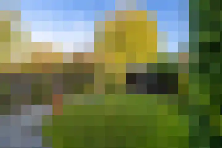 Medler 10 Doetinchem thumbnail 20