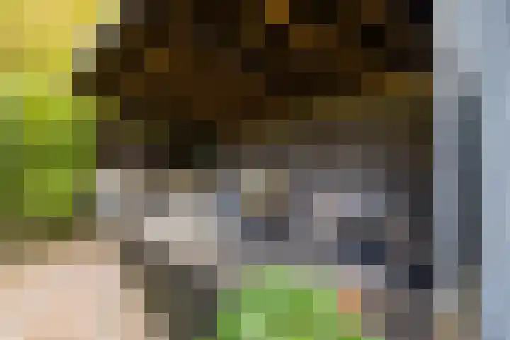 Medler 10 Doetinchem thumbnail 22