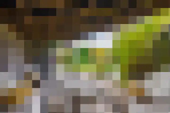 Medler 10 Doetinchem thumbnail 23