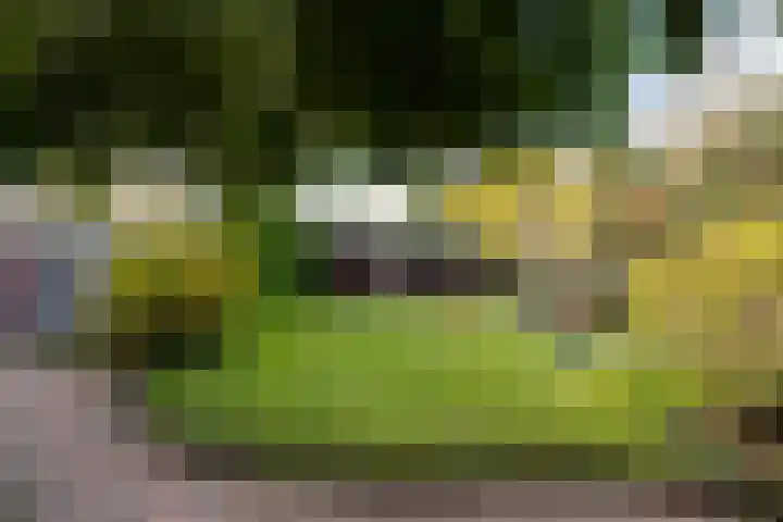 Medler 10 Doetinchem thumbnail 24