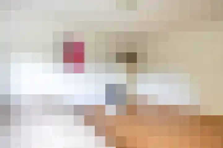 Medler 10 Doetinchem thumbnail 30