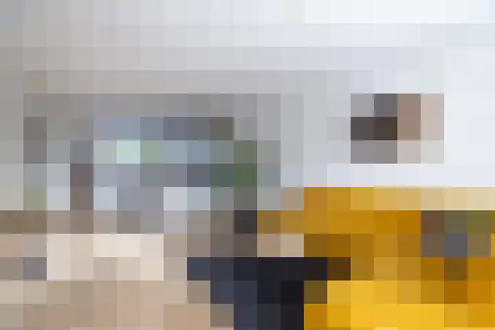 Medler 10 Doetinchem thumbnail 4