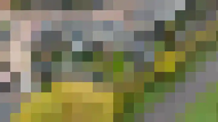 Medler 10 Doetinchem thumbnail 49