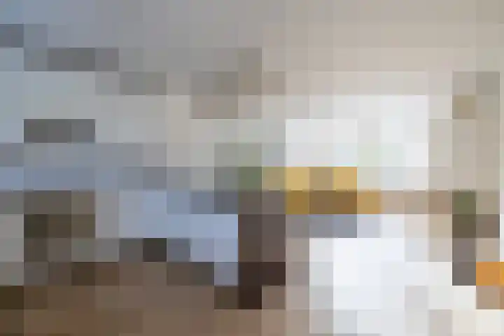 Medler 10 Doetinchem thumbnail 9