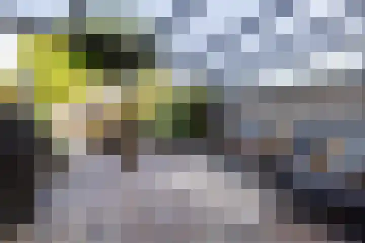 Medler 20 Doetinchem thumbnail 15