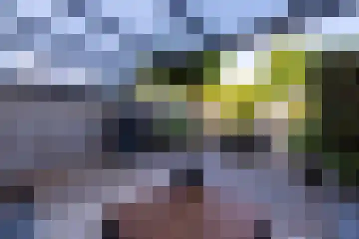 Medler 20 Doetinchem thumbnail 16