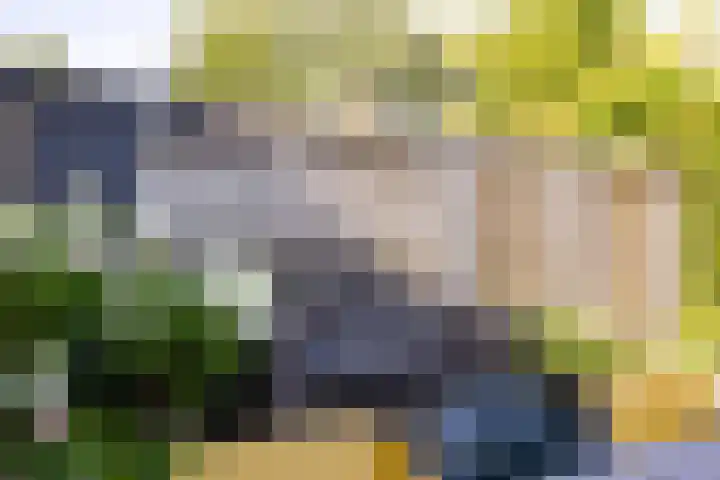 Medler 20 Doetinchem thumbnail 18