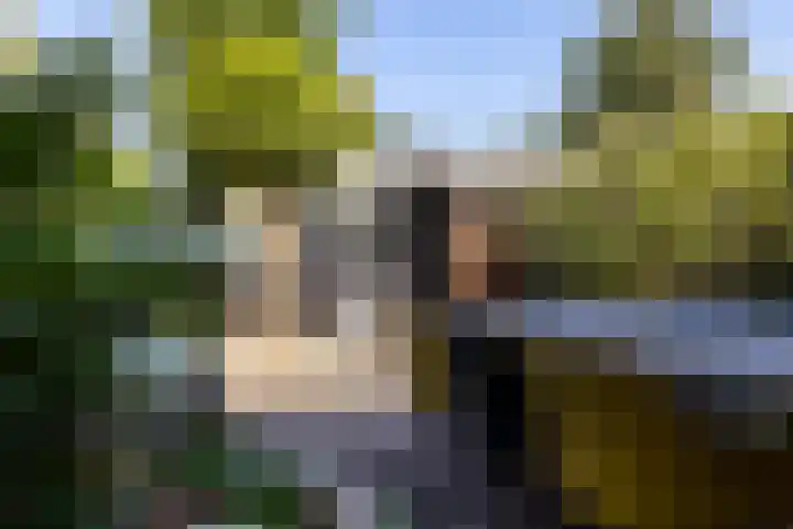 Medler 20 Doetinchem thumbnail 19