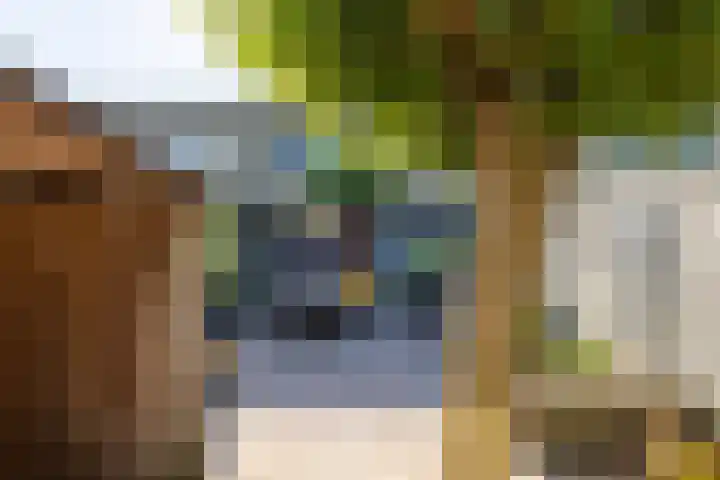 Medler 20 Doetinchem thumbnail 20
