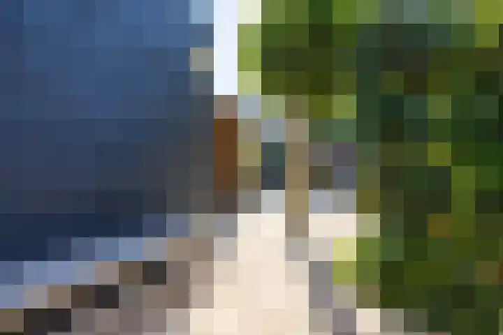 Medler 20 Doetinchem thumbnail 21