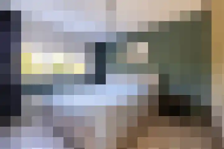 Medler 20 Doetinchem thumbnail 25