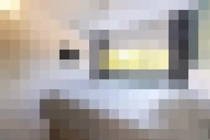Medler 20 Doetinchem thumbnail 26