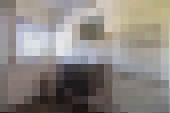 Medler 20 Doetinchem thumbnail 33