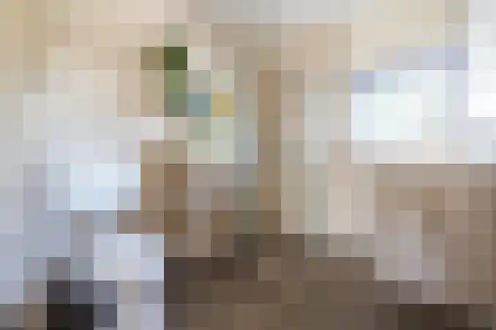 Medler 20 Doetinchem thumbnail 34