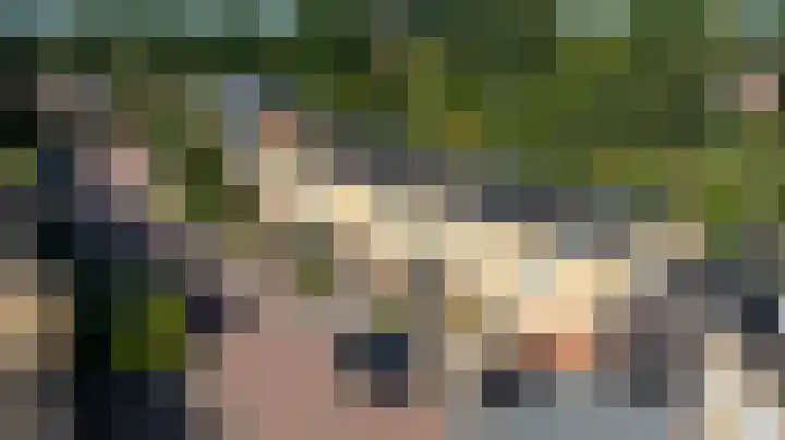 Medler 20 Doetinchem thumbnail 39