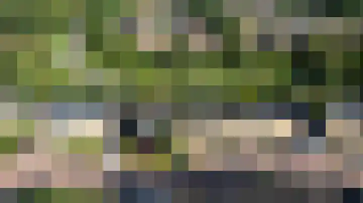 Medler 20 Doetinchem thumbnail 40