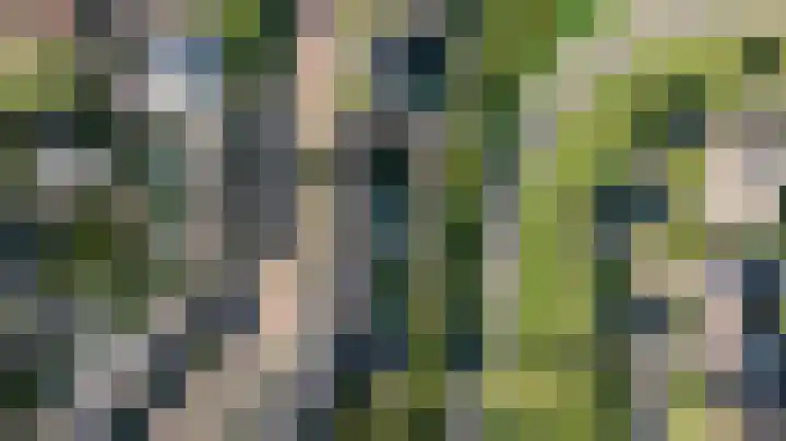 Medler 20 Doetinchem thumbnail 41